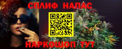 спиды Будённовск